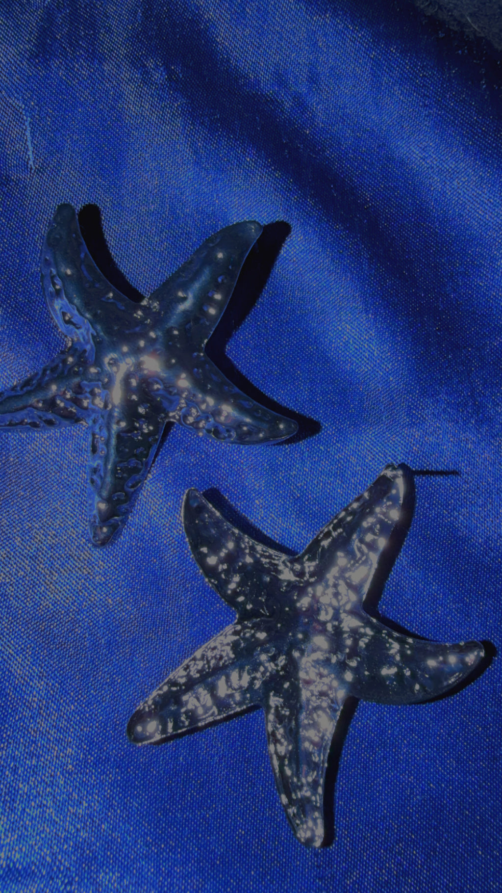 Silver Star Fish earrings